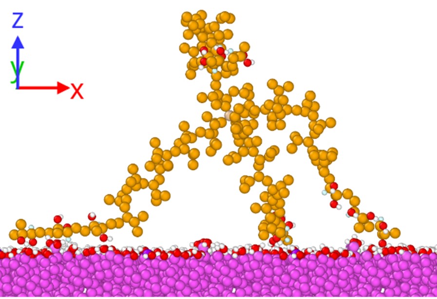 Simulation der Anhaftung eines Sternpolymers